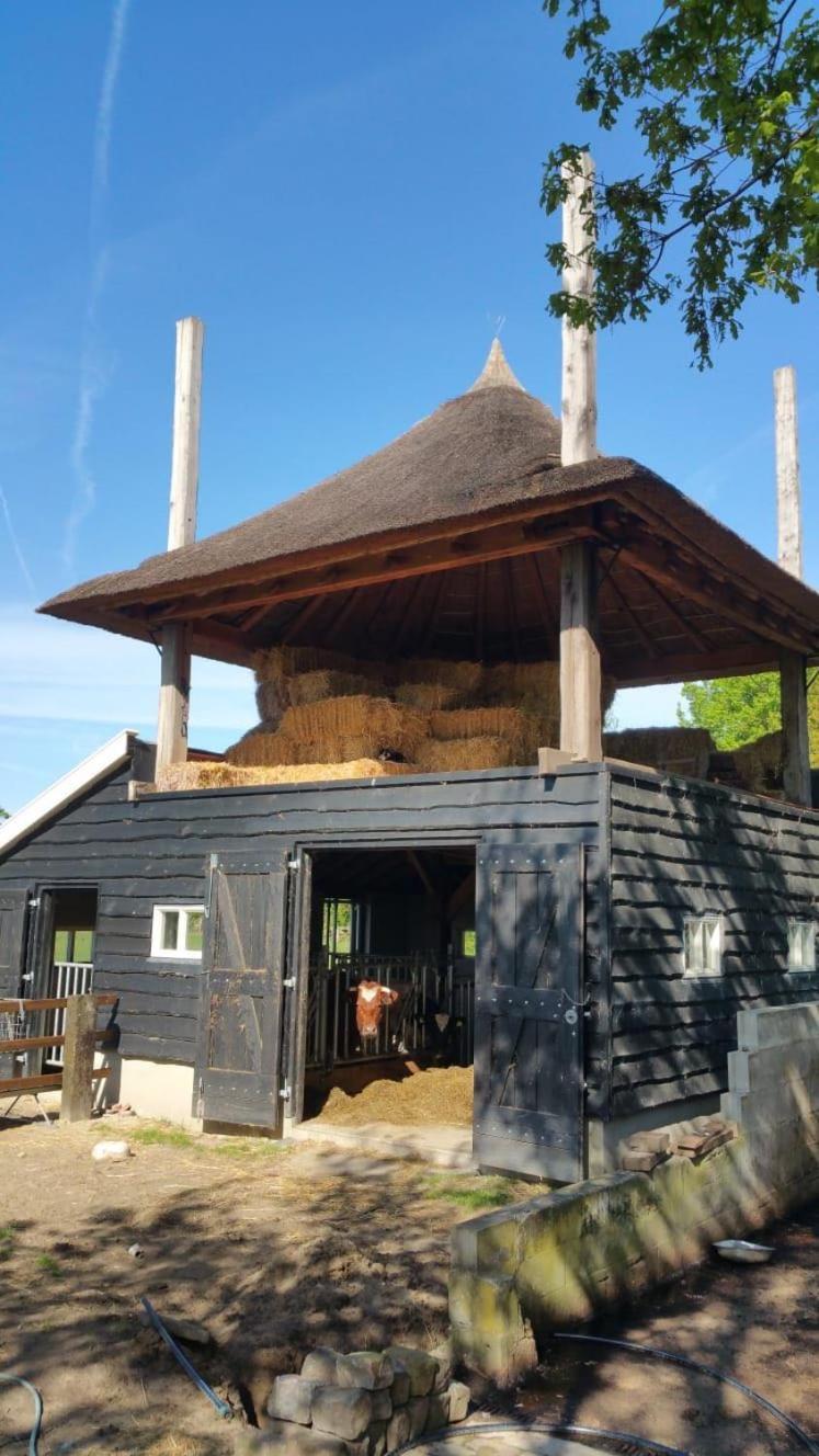 Landgoed Groot Boerle Bed and Breakfast Wijhe Exteriör bild